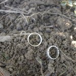 Picture of rings found with metal detector